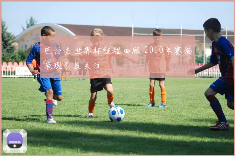 巴拉圭世界杯征程回顾 2010年赛场表现引发关注