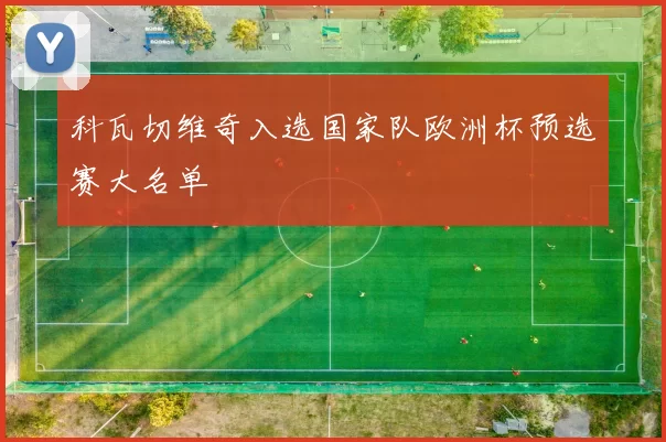 科瓦切维奇入选国家队欧洲杯预选赛大名单