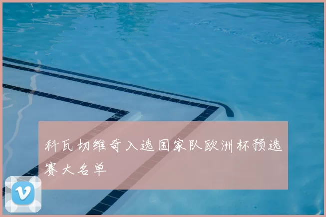 科瓦切维奇入选国家队欧洲杯预选赛大名单