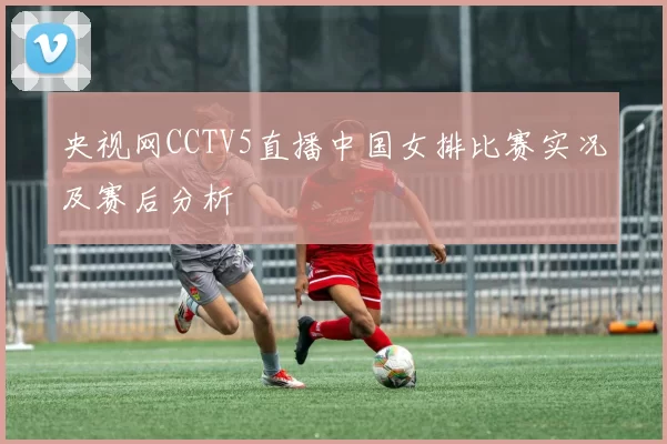 央视网CCTV5直播中国女排比赛实况及赛后分析